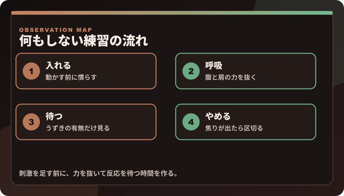 ドライオーガズムで何もしない練習を、入れる、呼吸、待つ、やめるの4段階で示した図解