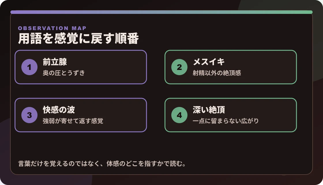 ドライオーガズム用語を、前立腺、メスイキ、快感の波、深い絶頂の4つの体感に結び直す図解