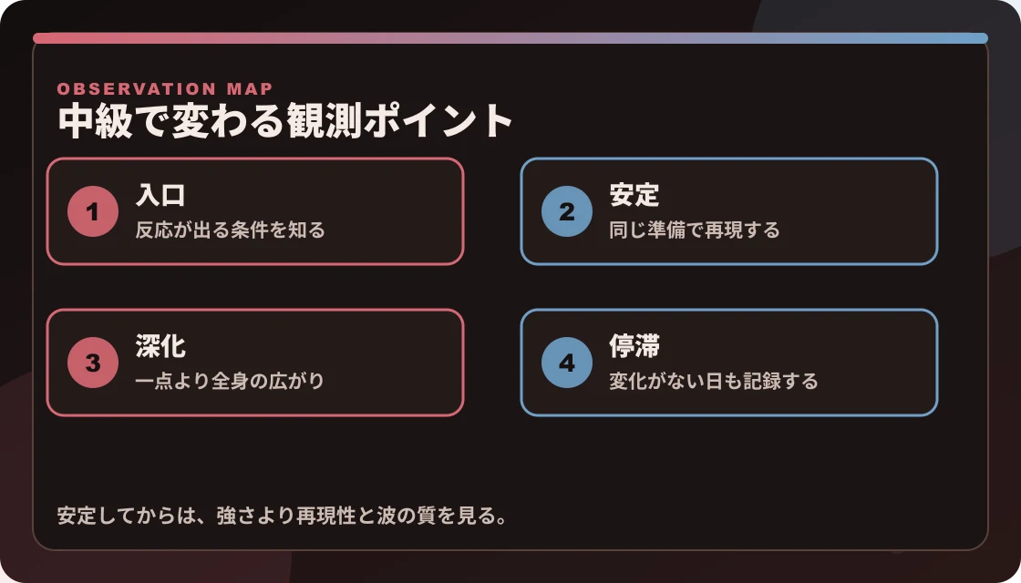 ドライオーガズム中級で見る観測ポイントを、入口、安定、深化、停滞に分けた図解