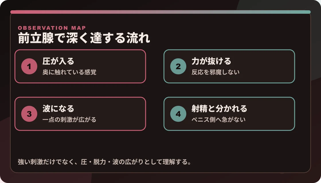 ドライオーガズムの仕組みを、圧が入る、力が抜ける、波になる、射精と分かれるの4段階で示した図解